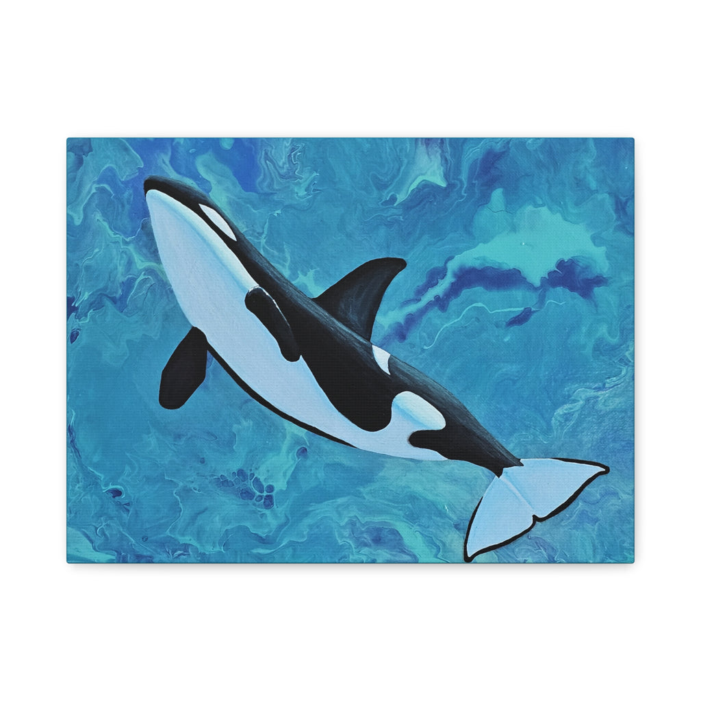Orca whale illustration on a blue  background