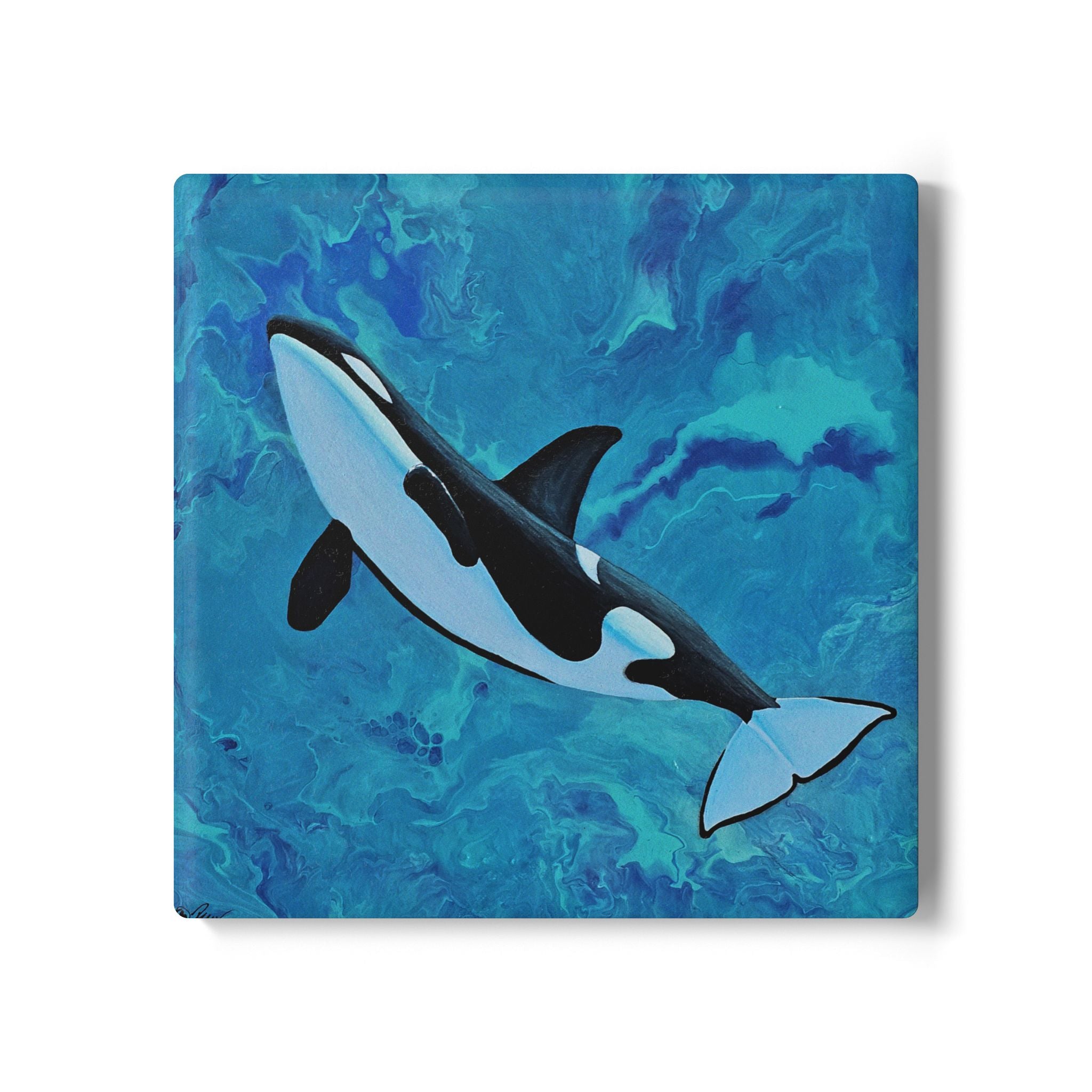 Orca whale illustration on a blue watercolor background