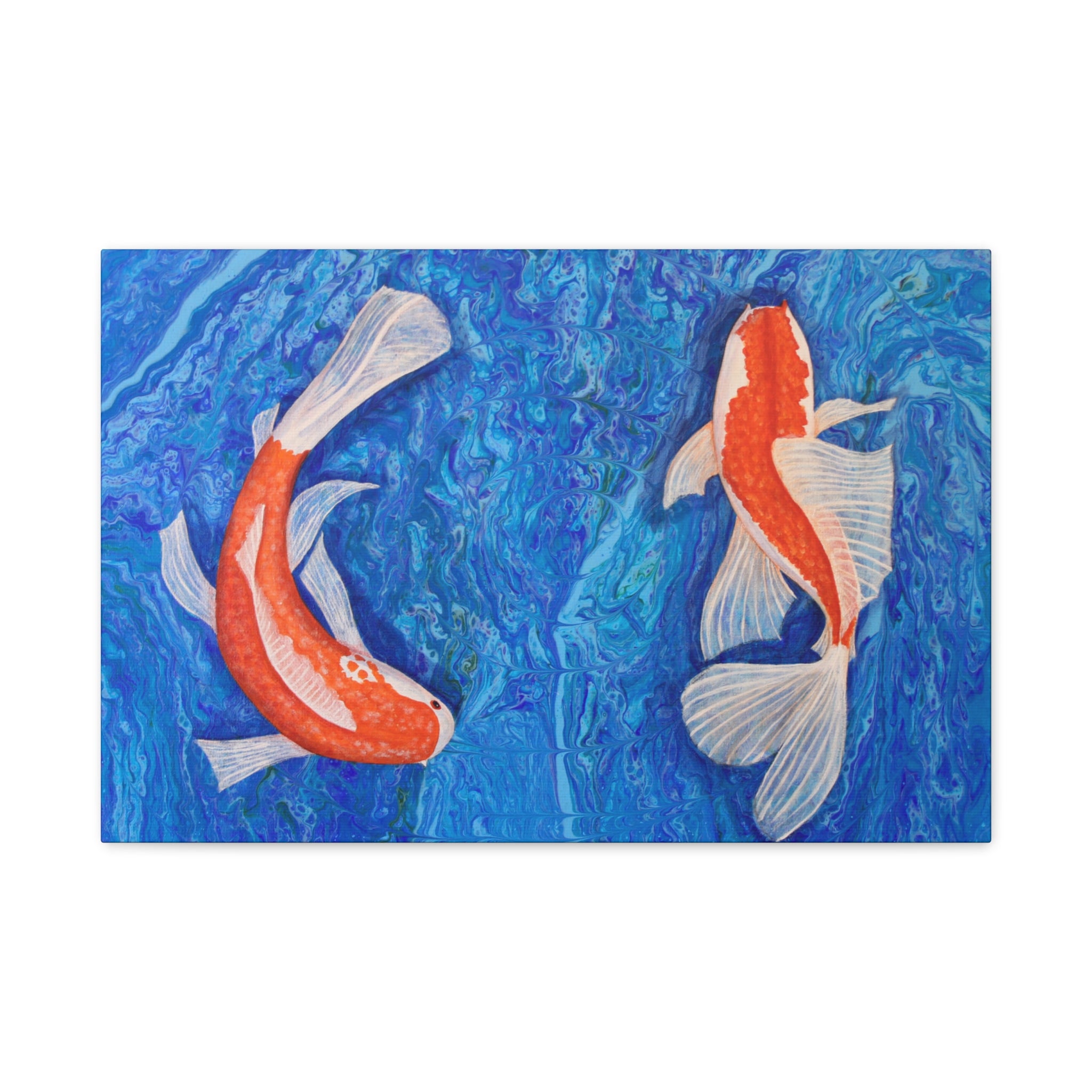 Two Koi fish swimming in water with a blue background