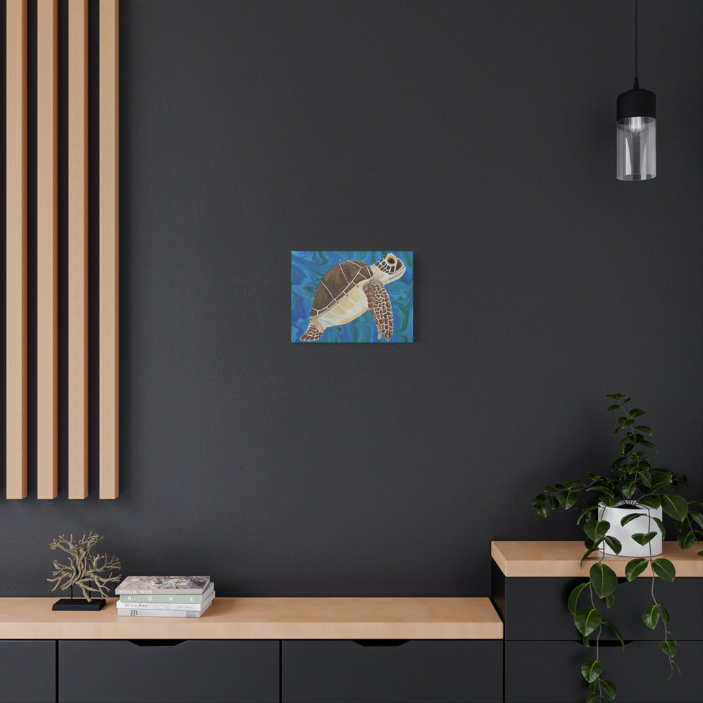 Modern interior with a dark wall, wooden shelves, and a small painting of turtle.