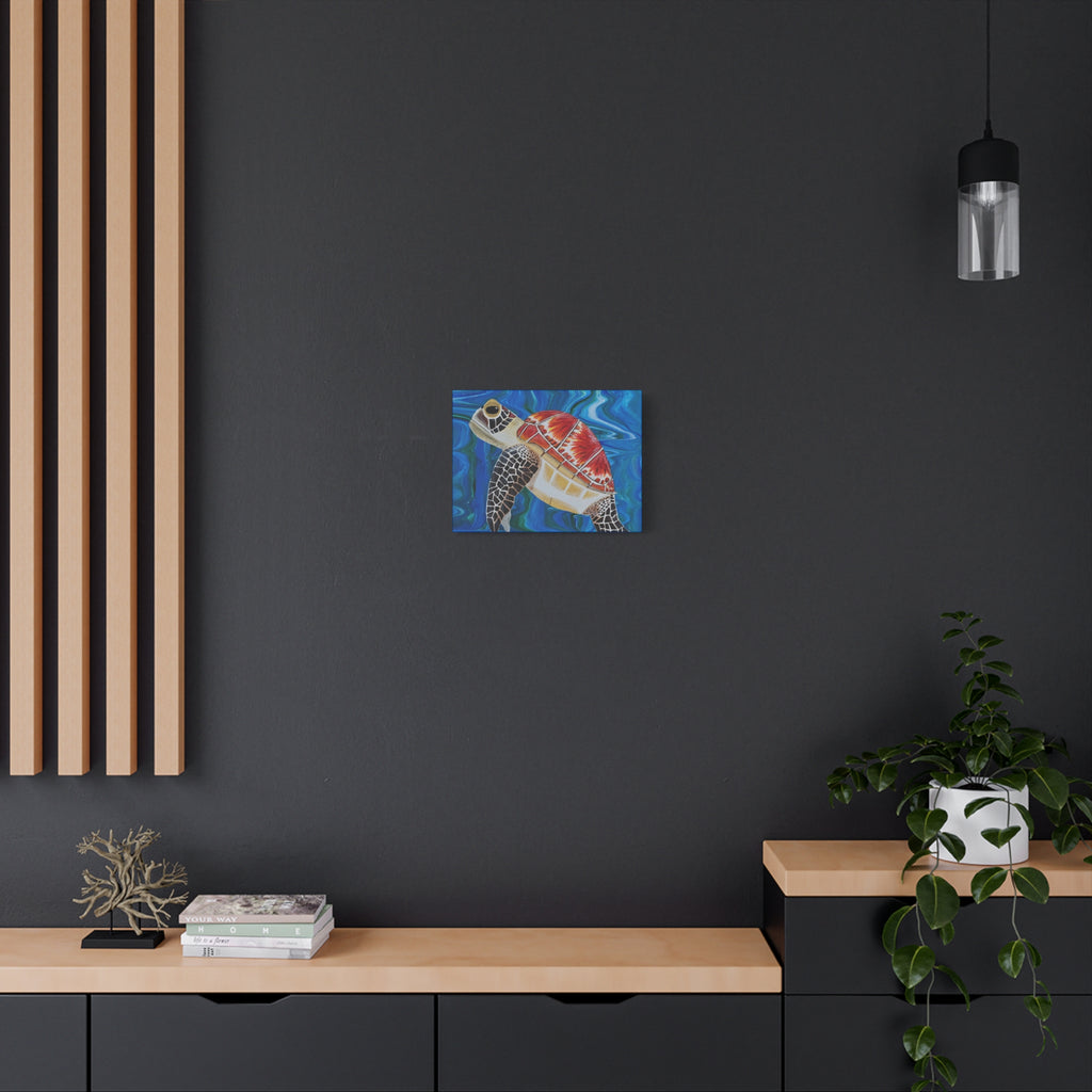 Modern interior with a dark wall, wooden shelves, and a small painting of sea turtle