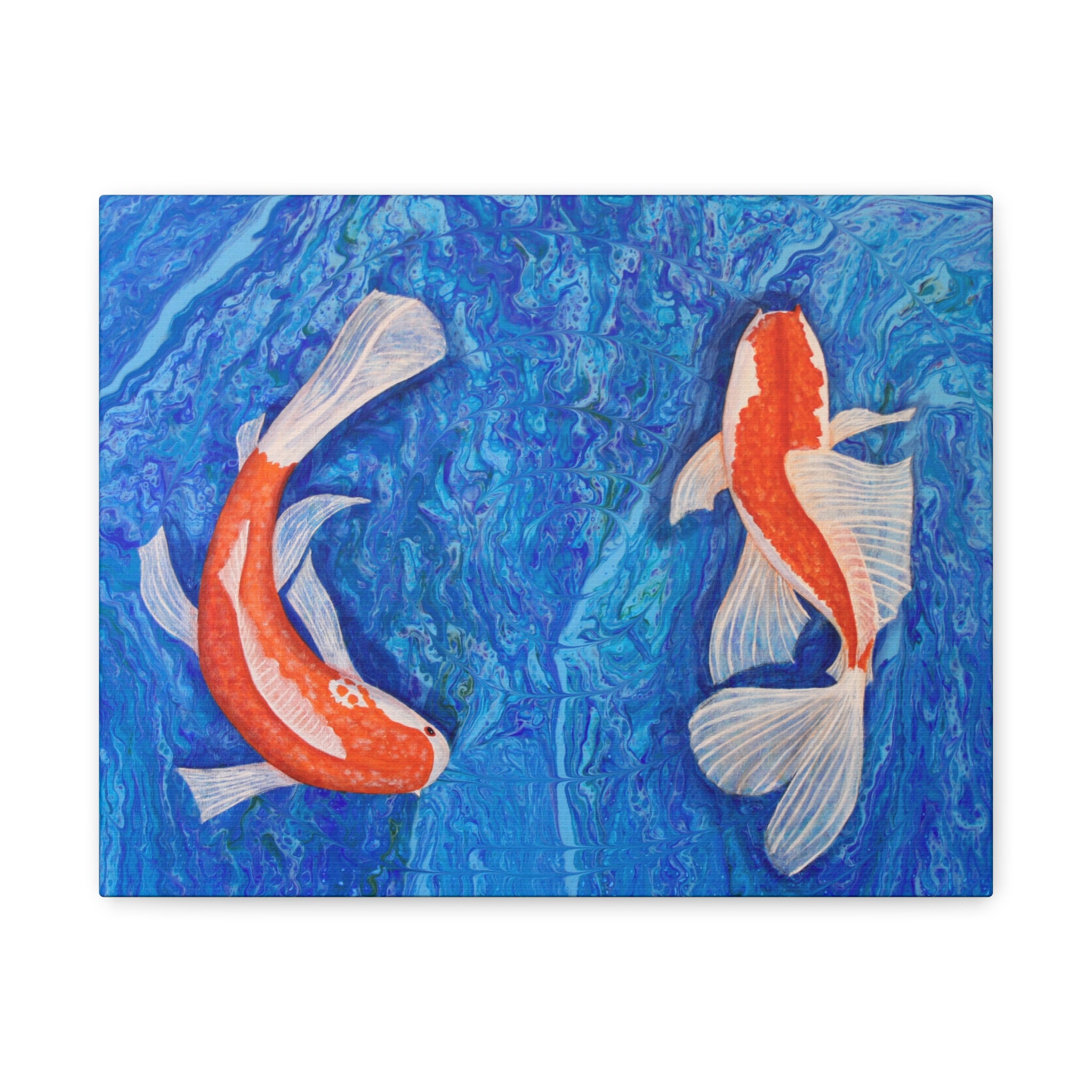 Two Koi fish swimming in water with a blue background