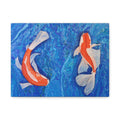 Two Koi fish swimming in water with a blue background