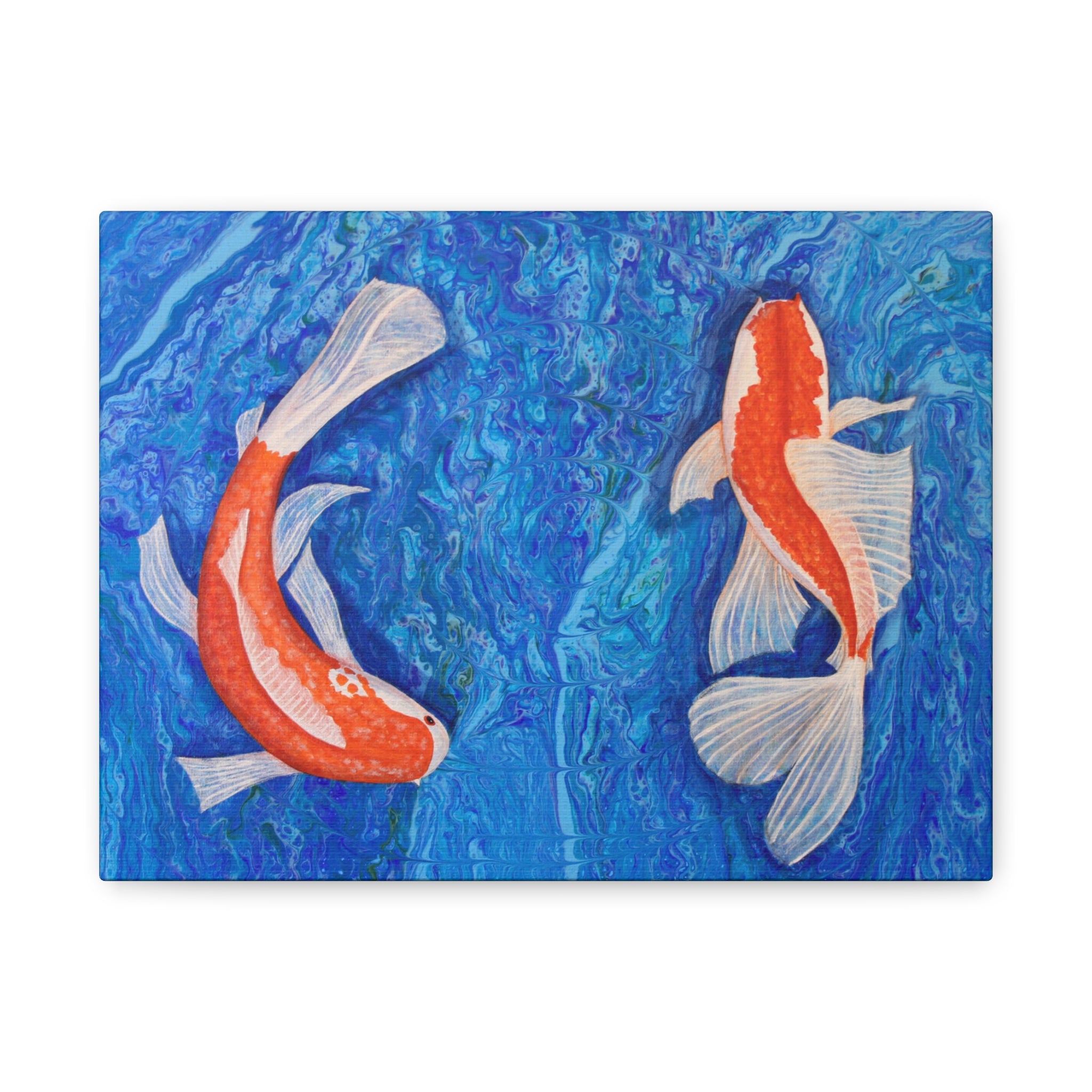 Two Koi fish swimming in water with a blue background