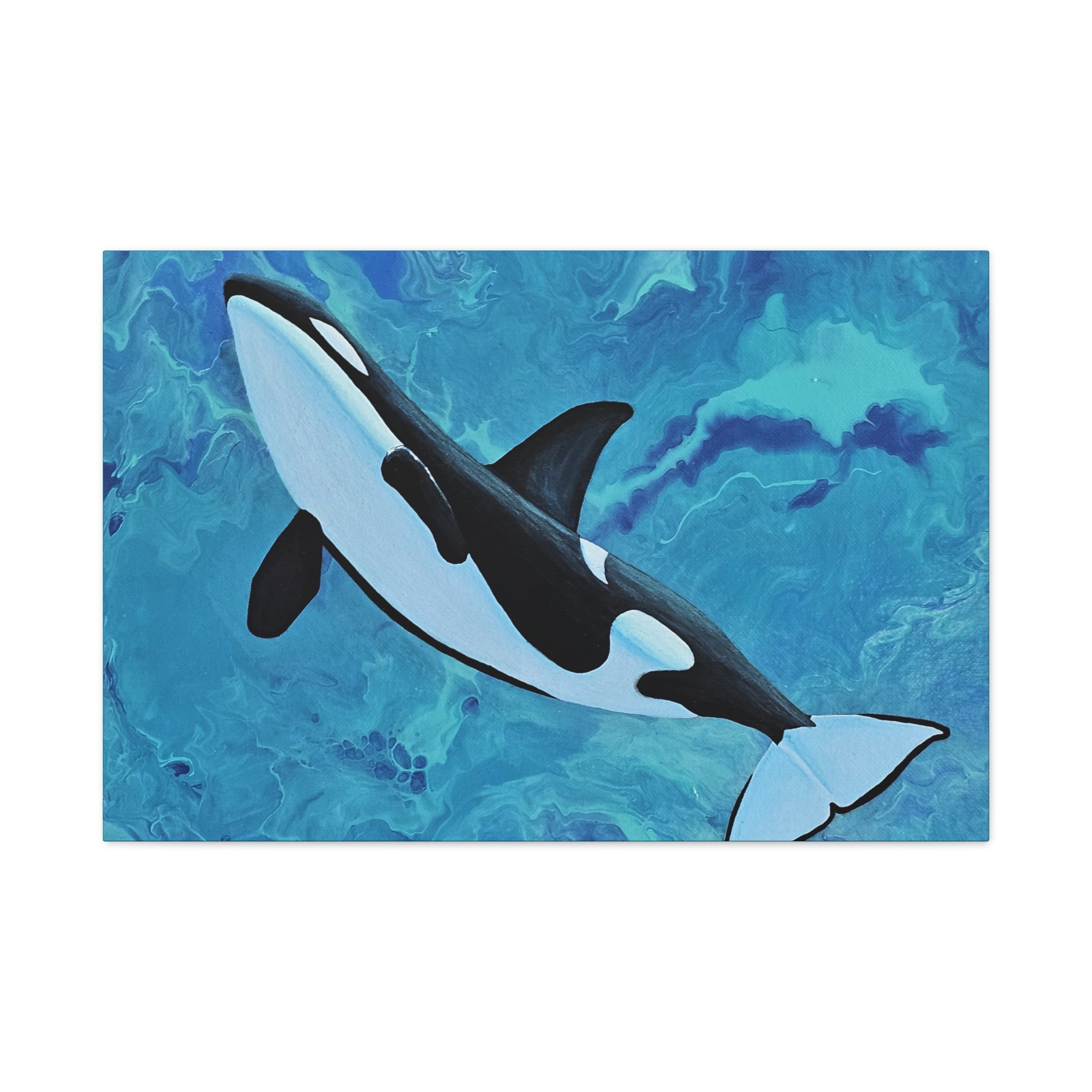 Orca whale illustration on a blue watercolor background