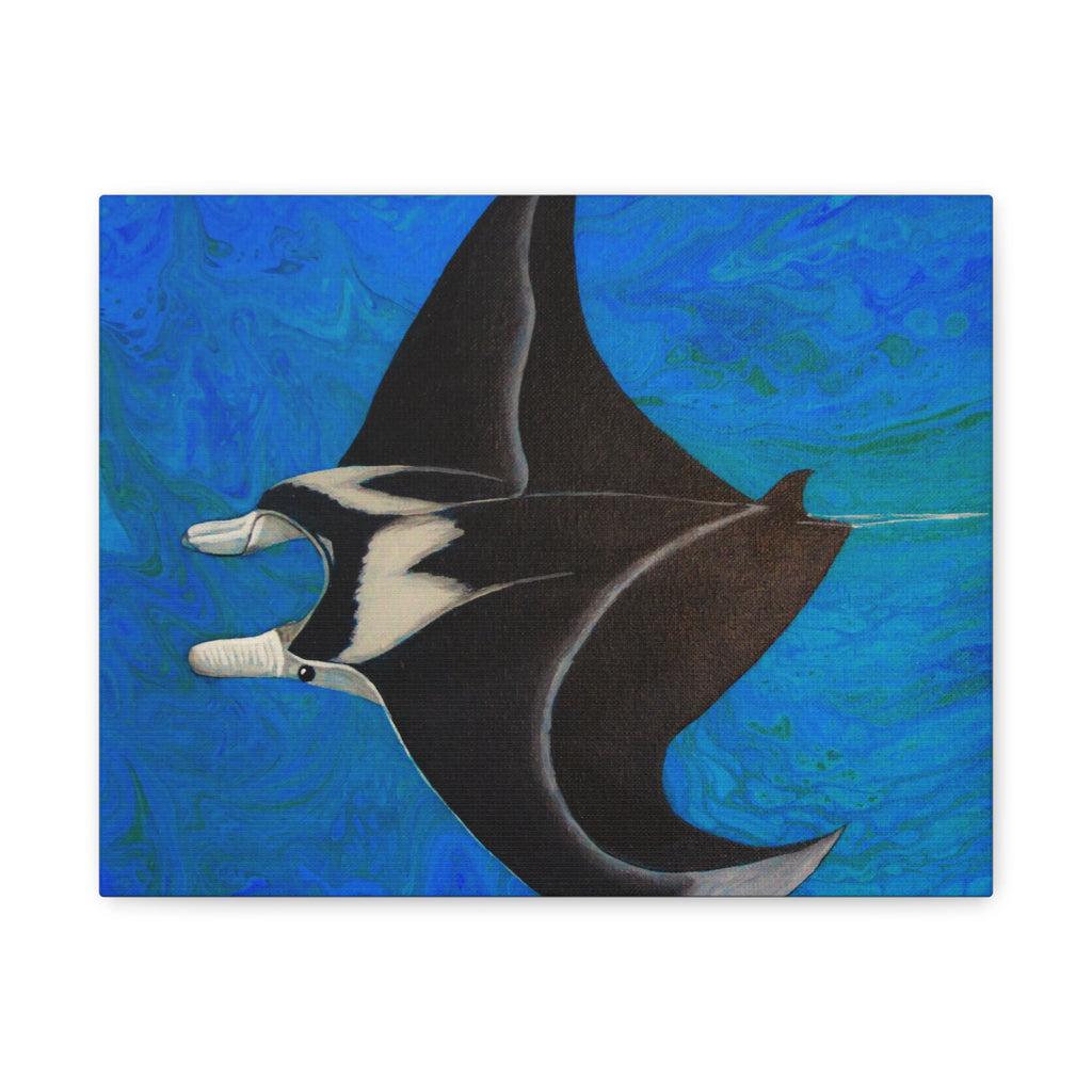 Manta ray illustration on a blue abstract background