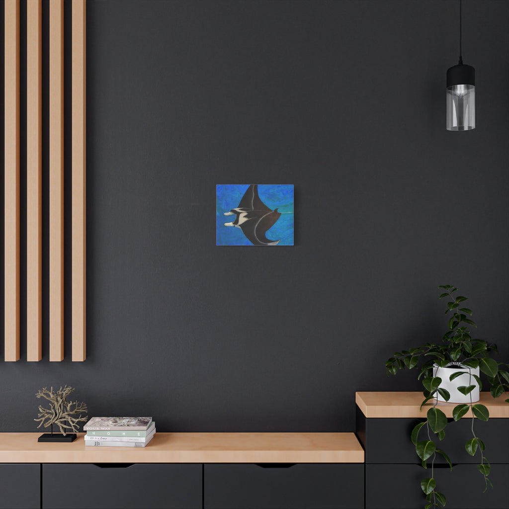Very small manta ray painting. Modern interior with a dark wall, wooden shelves, and a plant.
