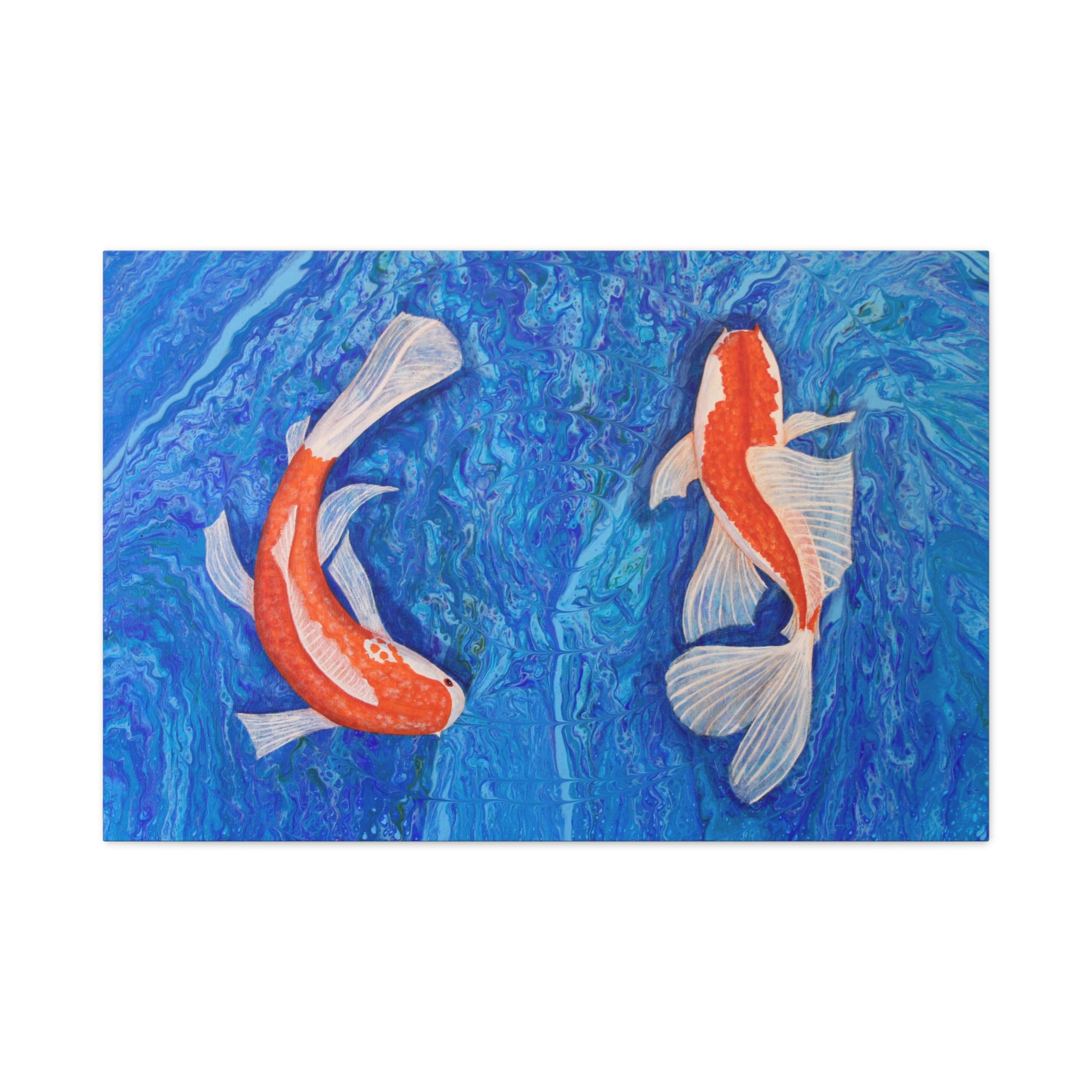 Two Koi fish swimming in water with a blue background