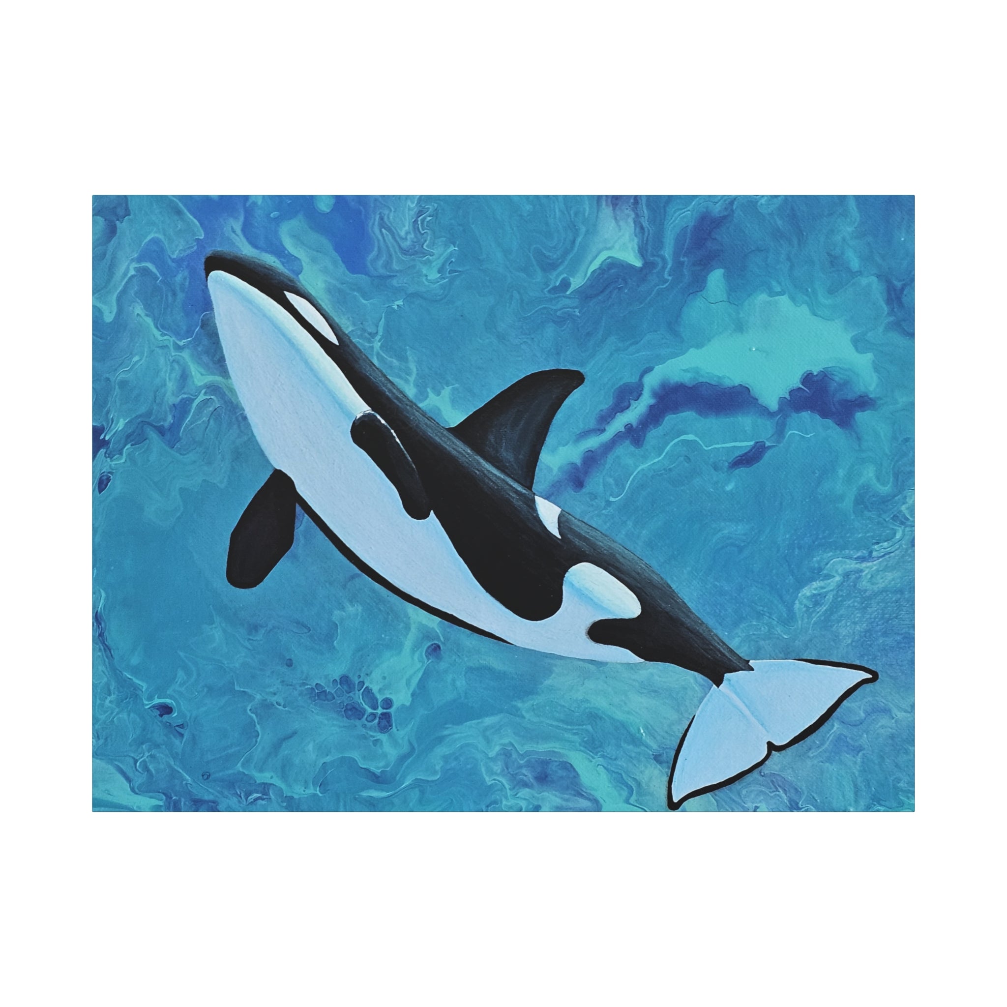 Orca whale illustration on a blue watercolor background