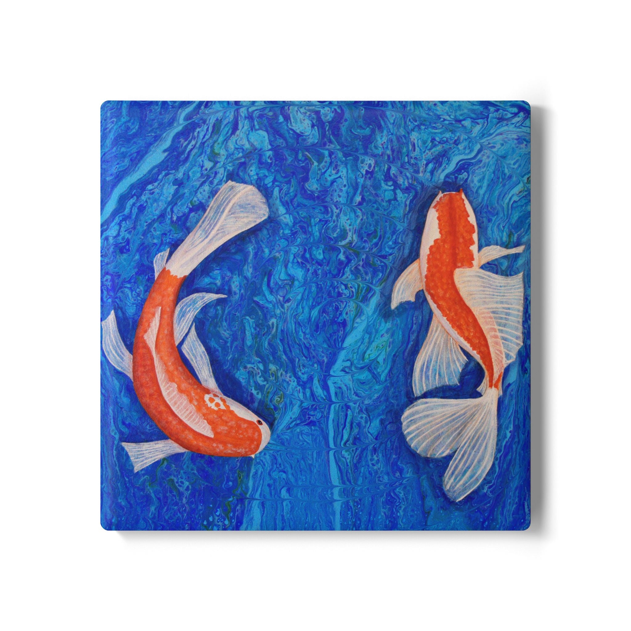 Two Koi fish swimming in water with a blue background